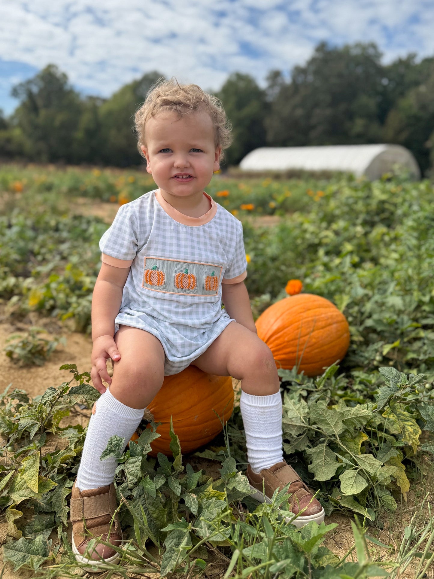 RTS - Coral & Sage Pumpkins Boy Bubble