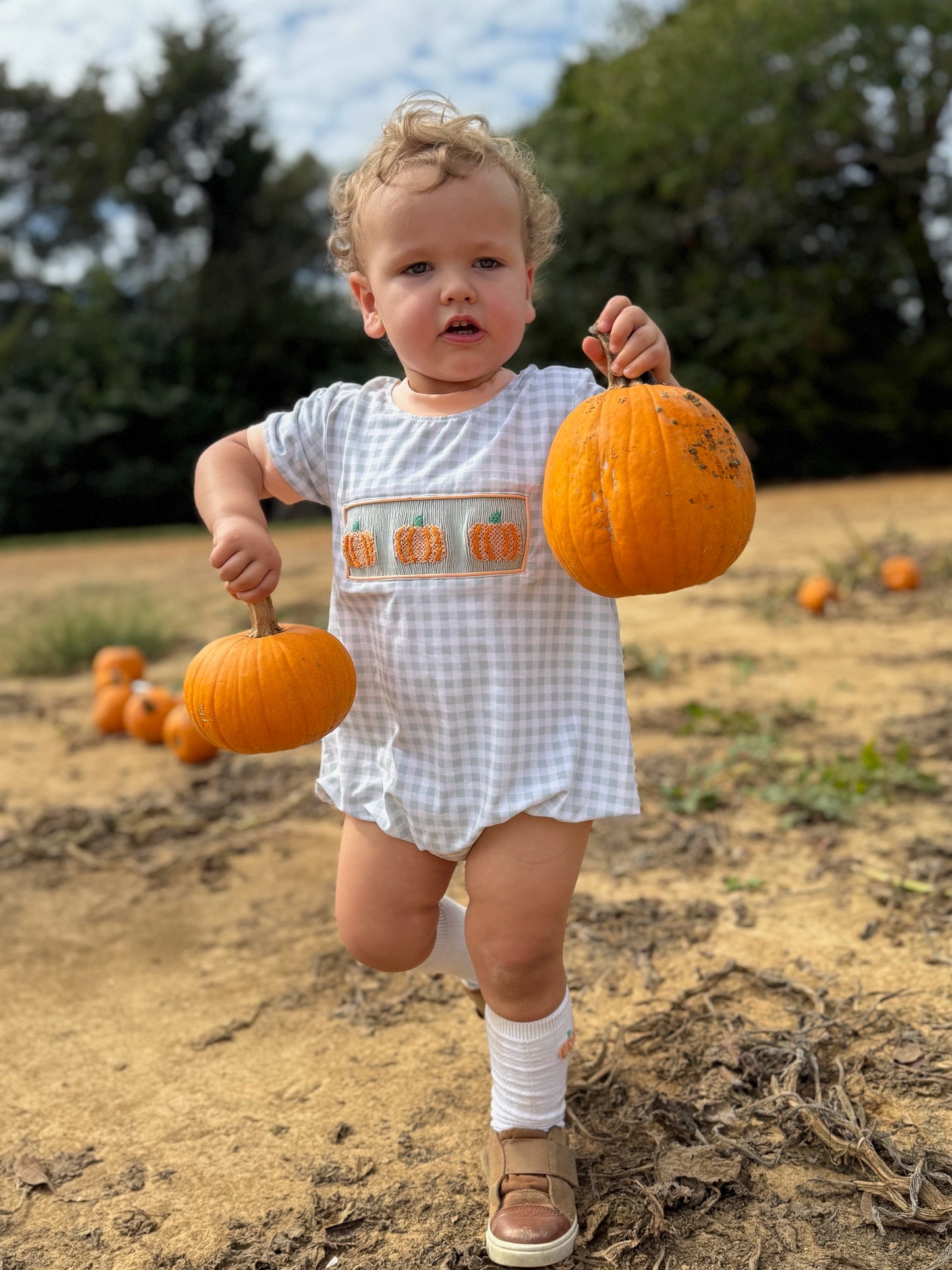 RTS - Coral & Sage Pumpkins Boy Bubble
