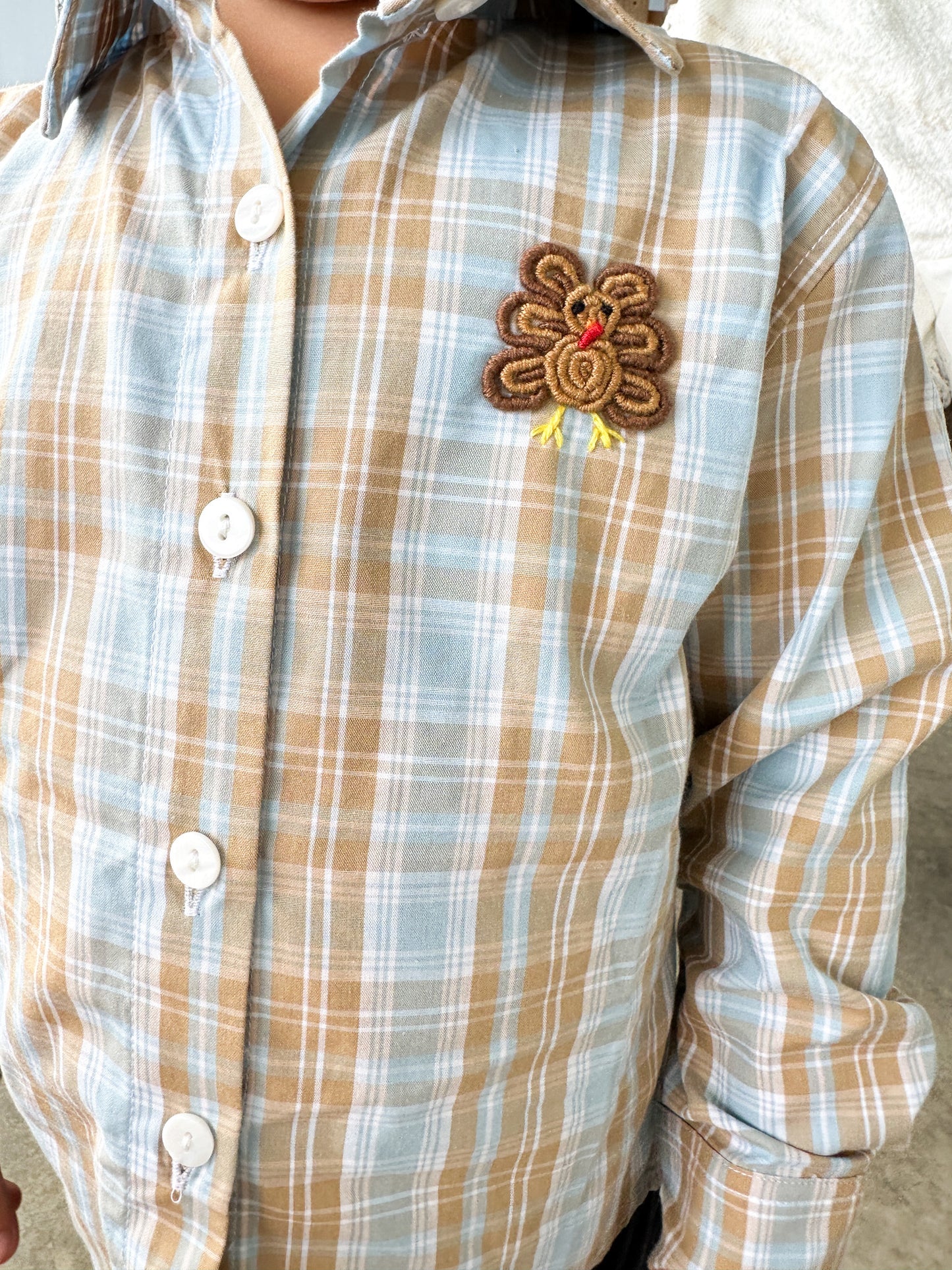 RTS - Bullion Stitch Turkeys Boy Button Down