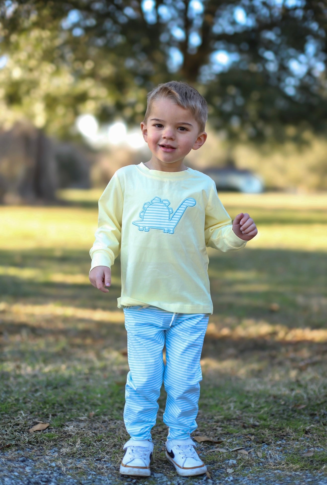 RTS - Transition Boys Only - Appliqué Dino Pant Set