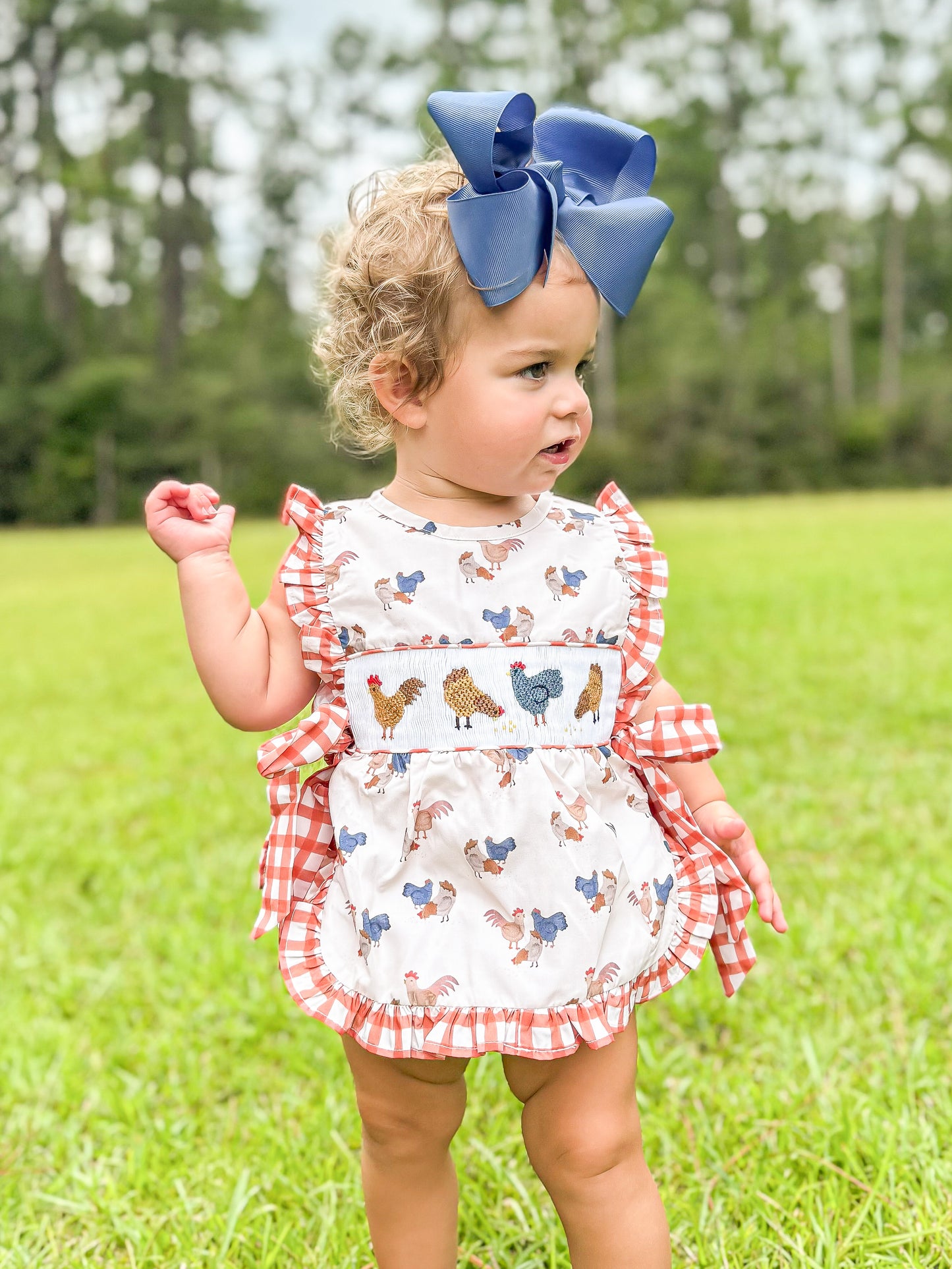 RTS - Smocked Chickens Girl Diaper Set