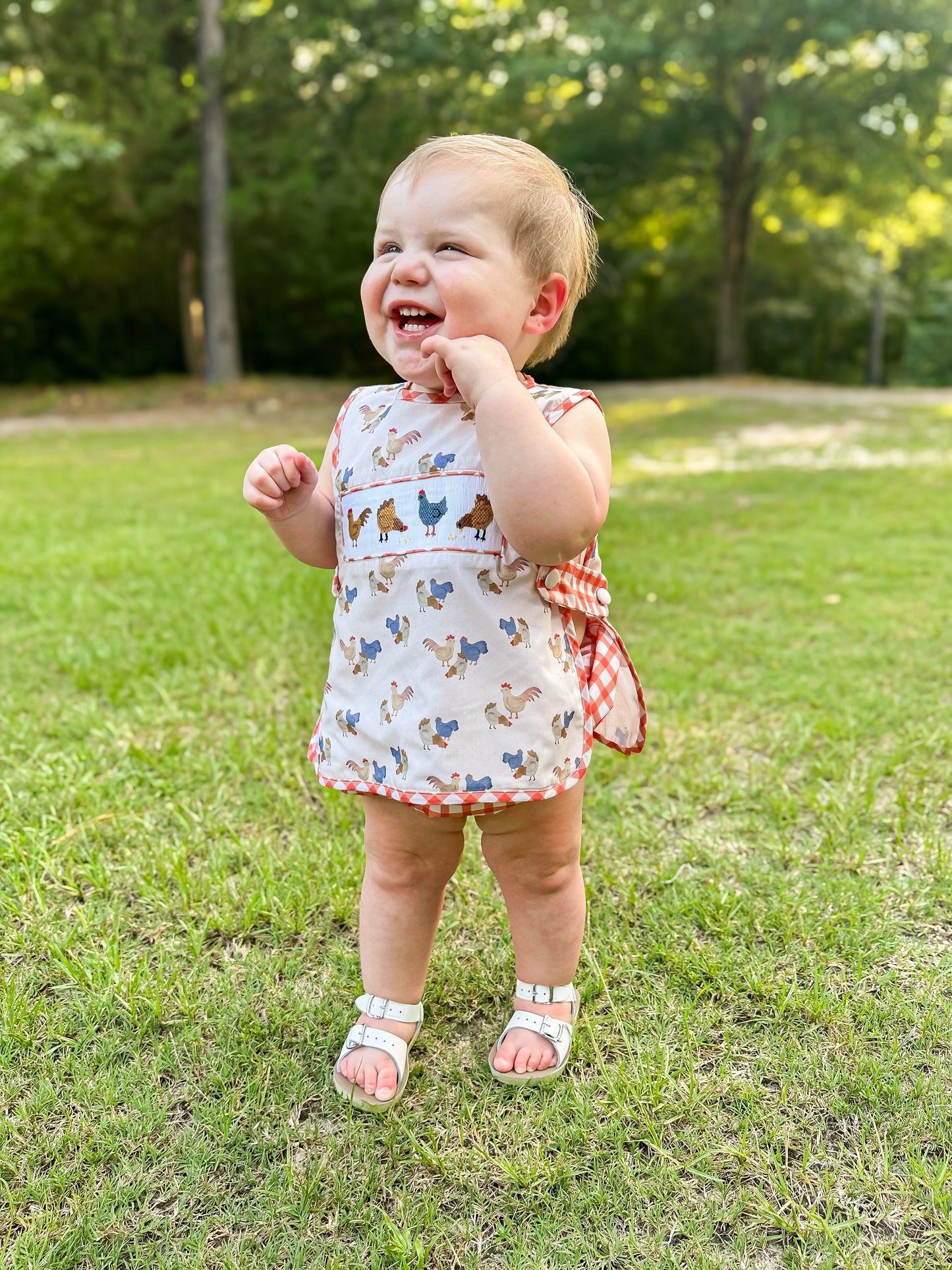 RTS - Smocked Chickens Boy Diaper Set