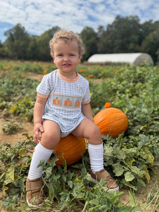 RTS - Coral & Sage Pumpkins Boy Bubble