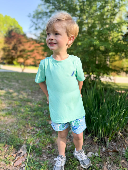 RTS - SPRING 2 - Lily Lagoon Boy Shortie Set