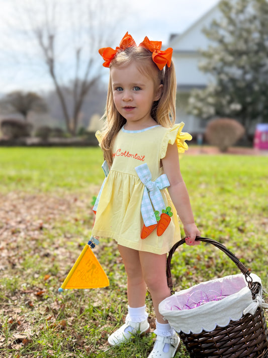 RTS - Hoppy Trails Girl Diaper Set - “HIPPITY HOP”