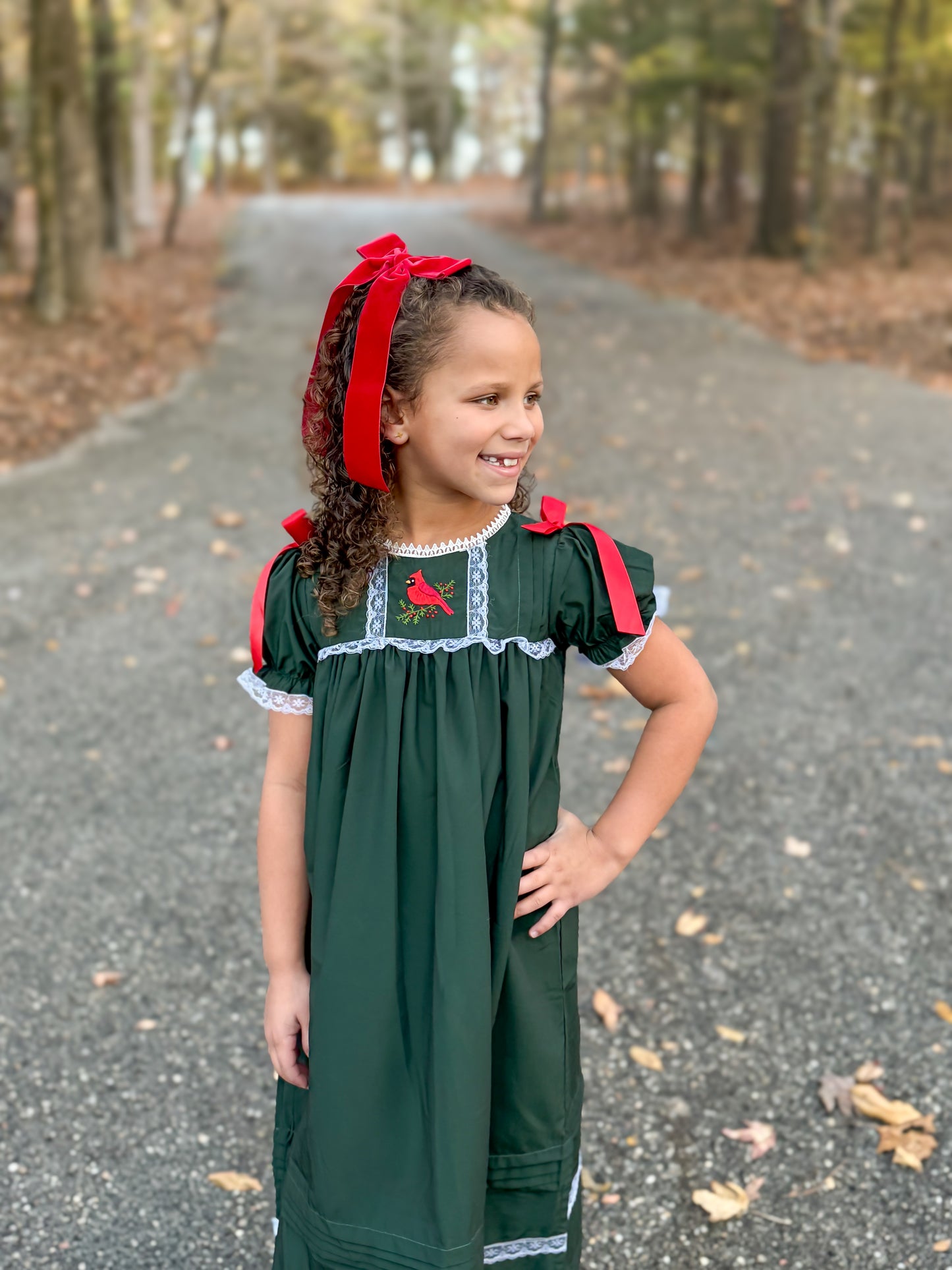 RTS - Christmas Cardinal Heirlooms Girl Dress