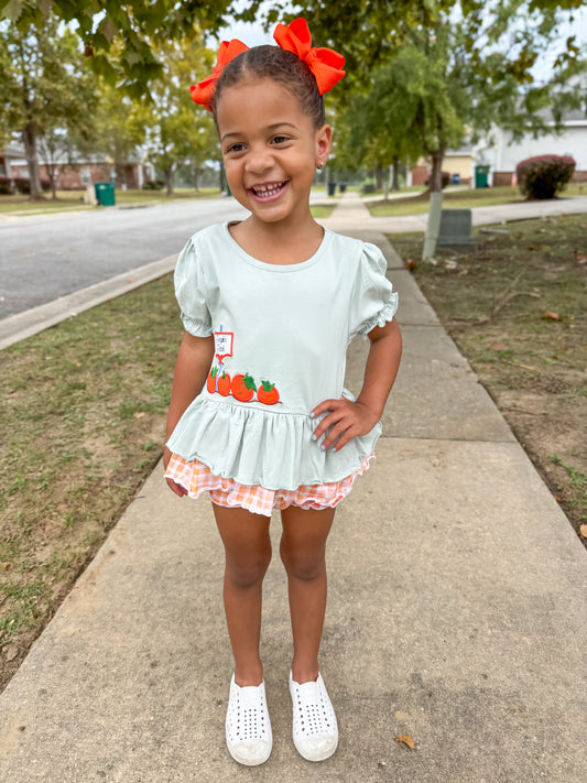 RTS - Pumpkin Patch Girl Diaper Set