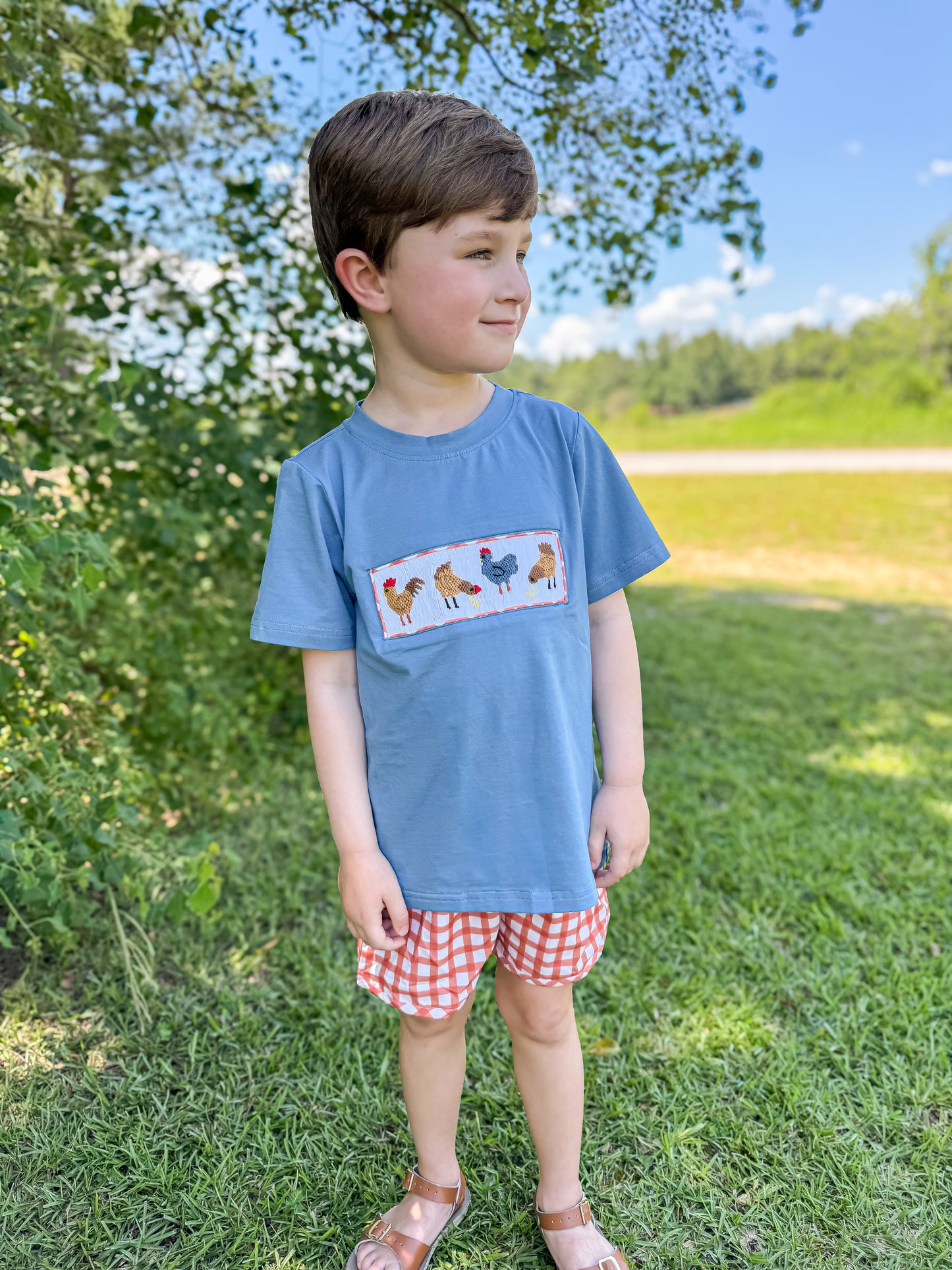 RTS - Smocked Chickens Boy Shortie Set