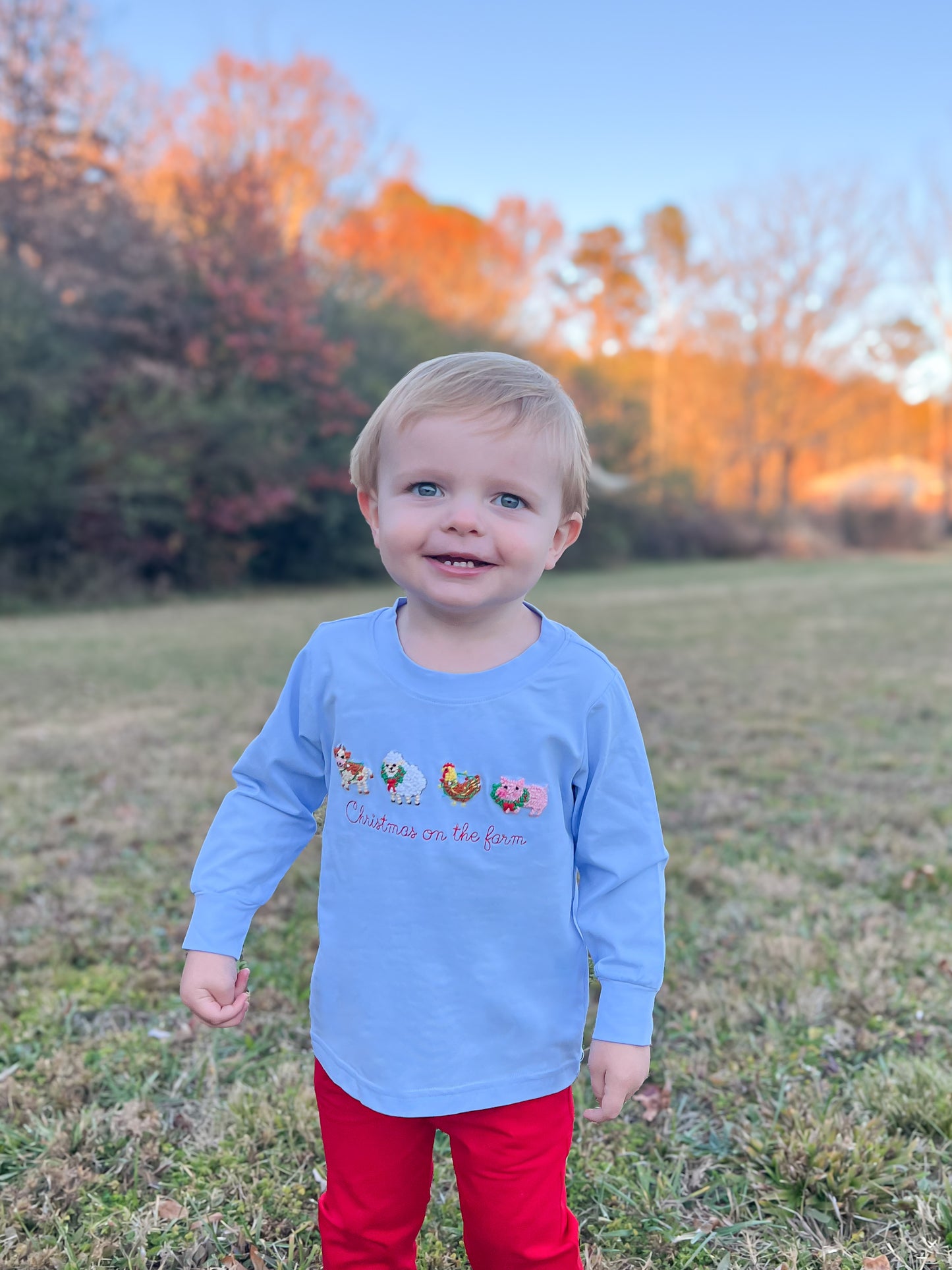 RTS - Christmas Shirt Only - Merry Farm-mas Boy Shirt