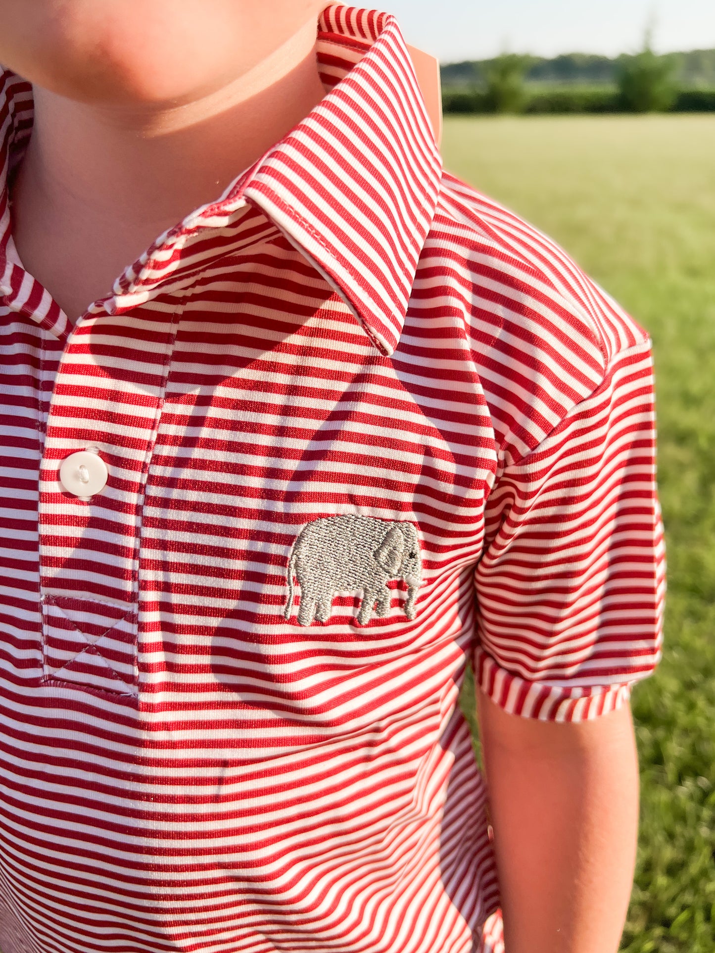 RTS - Team Polos Boy Polo - Elephant